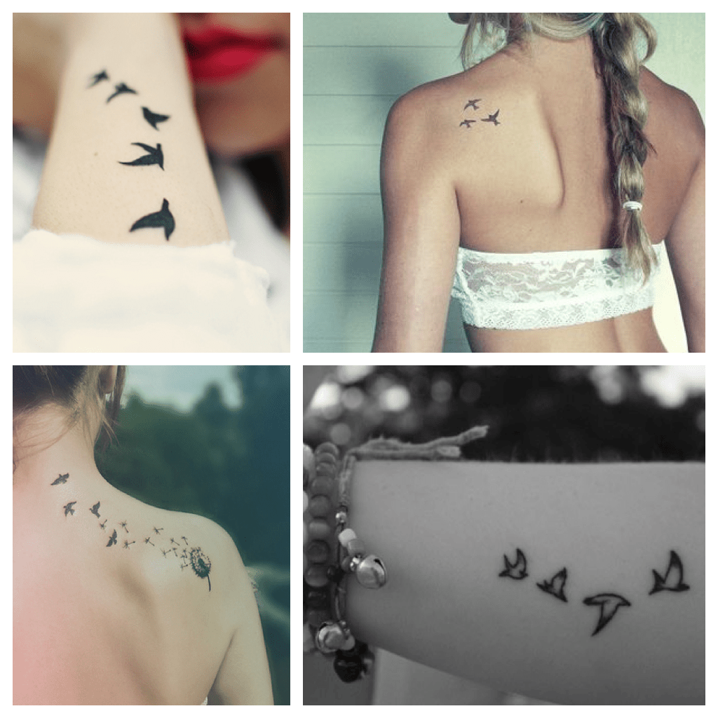 Vogel Tattoo Betekenis Alr41 Agbc