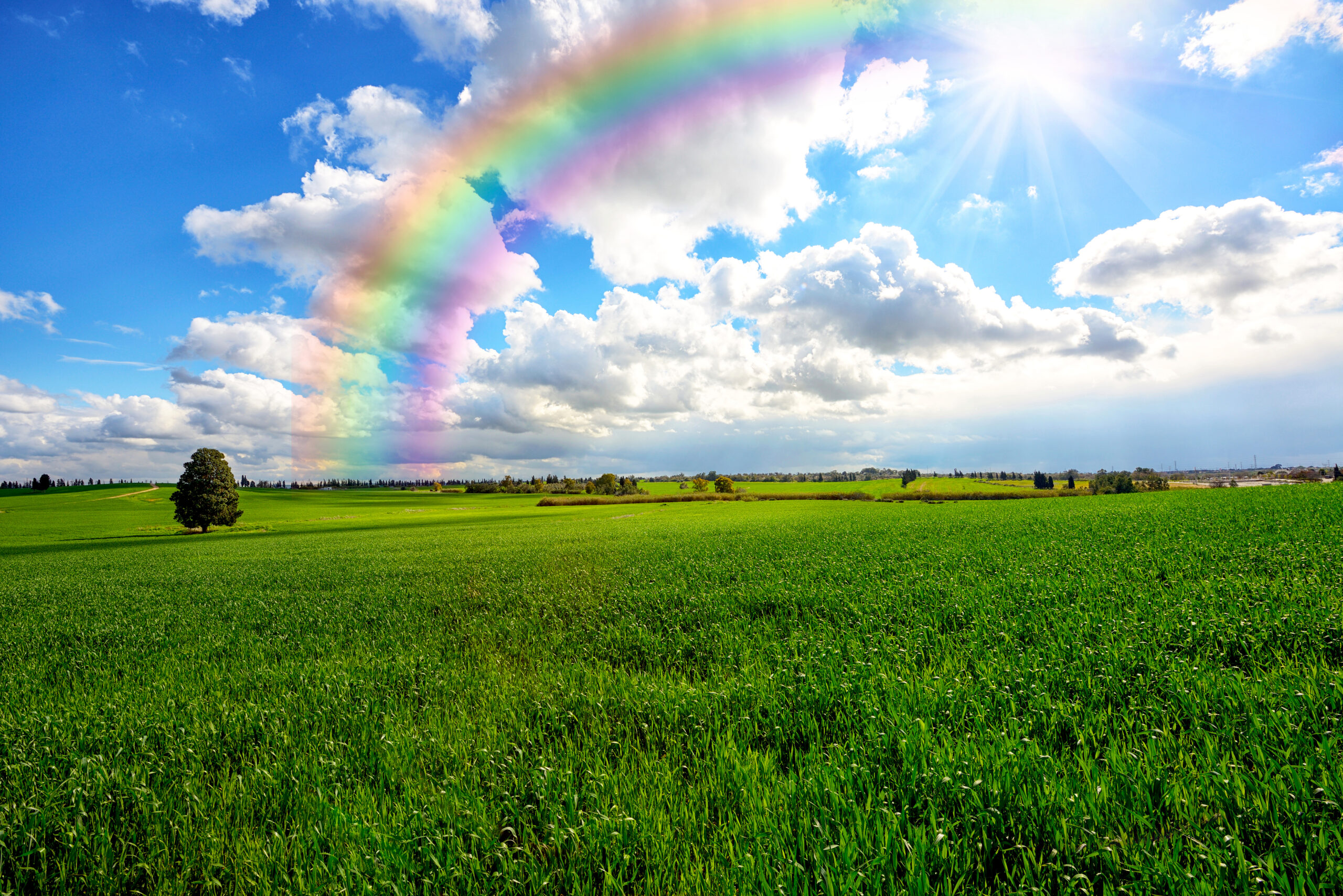 Rainbow Road – Navigating The Precious Time You Have Left