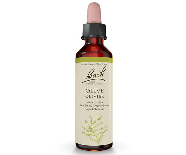 BACH OLIVE 20ml