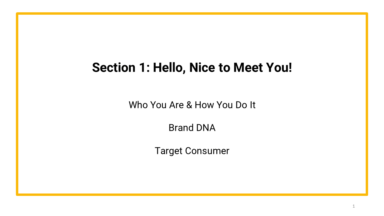 brand primer template section 1 hello nice to meet you