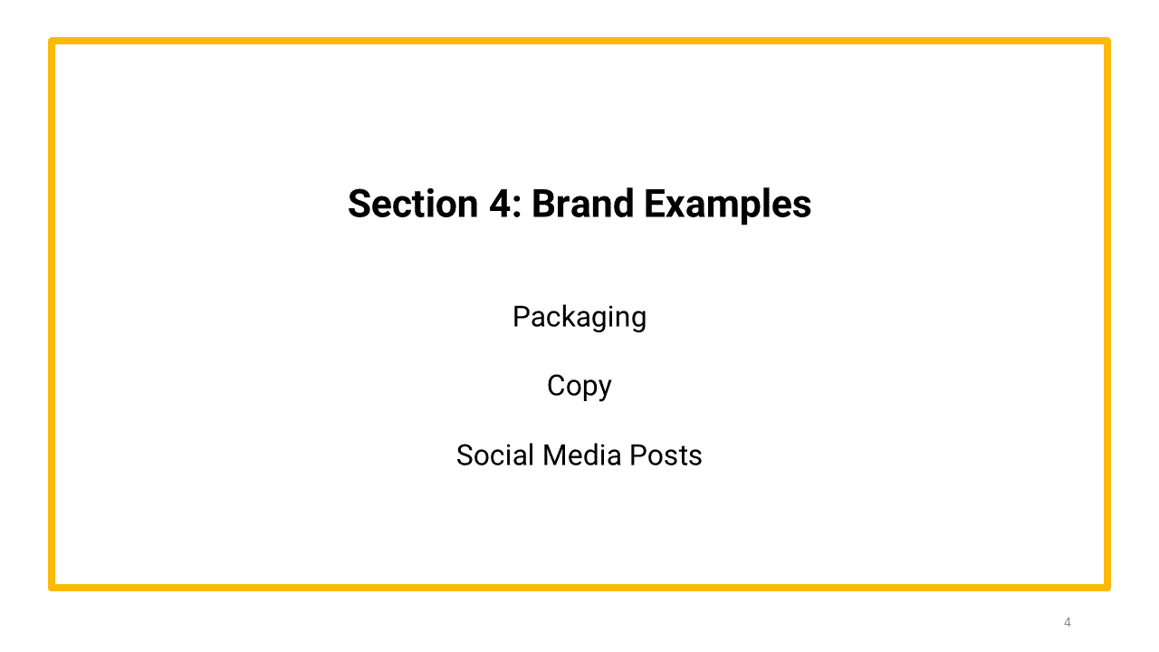 brand primer template section 4 Brand Examples
