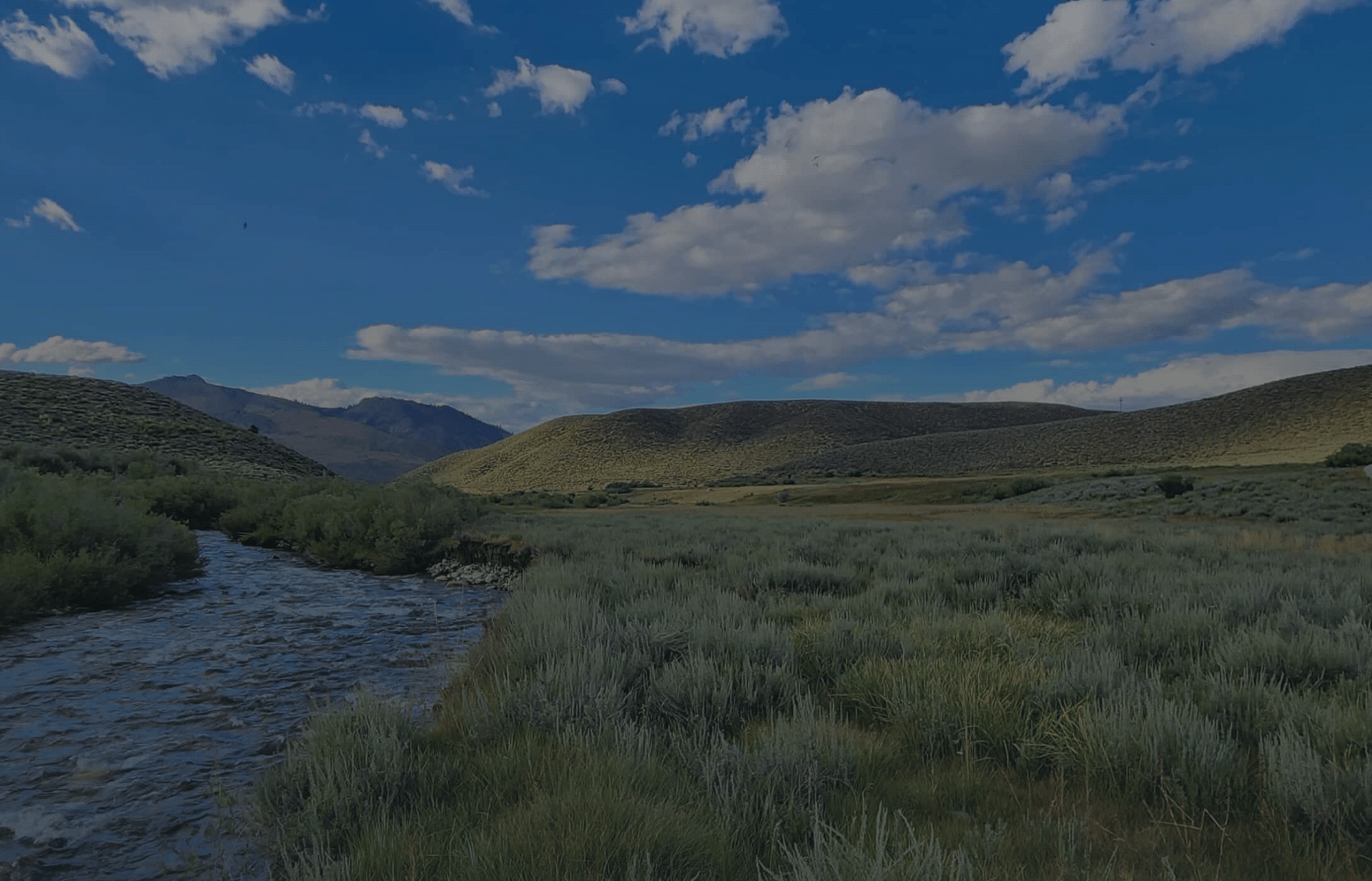 CPB Feature for July 2026