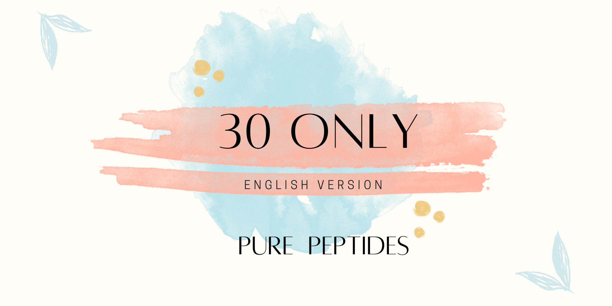 2 2.webp