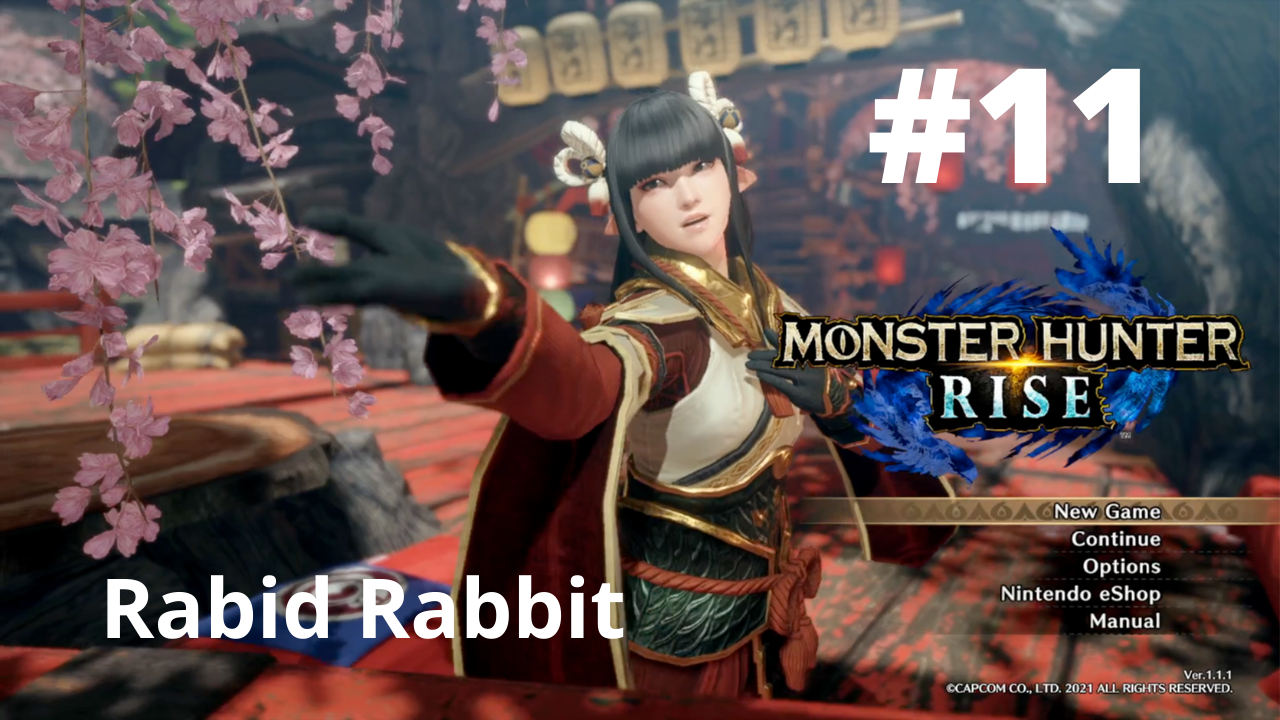 Read more about the article Rabid Rabbit – Monster Hunter Rise