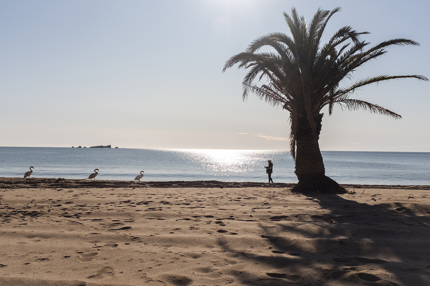 La composition photographique : sept points pour tout résumer (ou presque)
