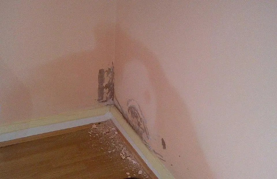 Damp Issues: Visual representation of damp spots on walls. Learn about the causes, effects, and solutions for addressing and preventing dampness for a healthier living environment