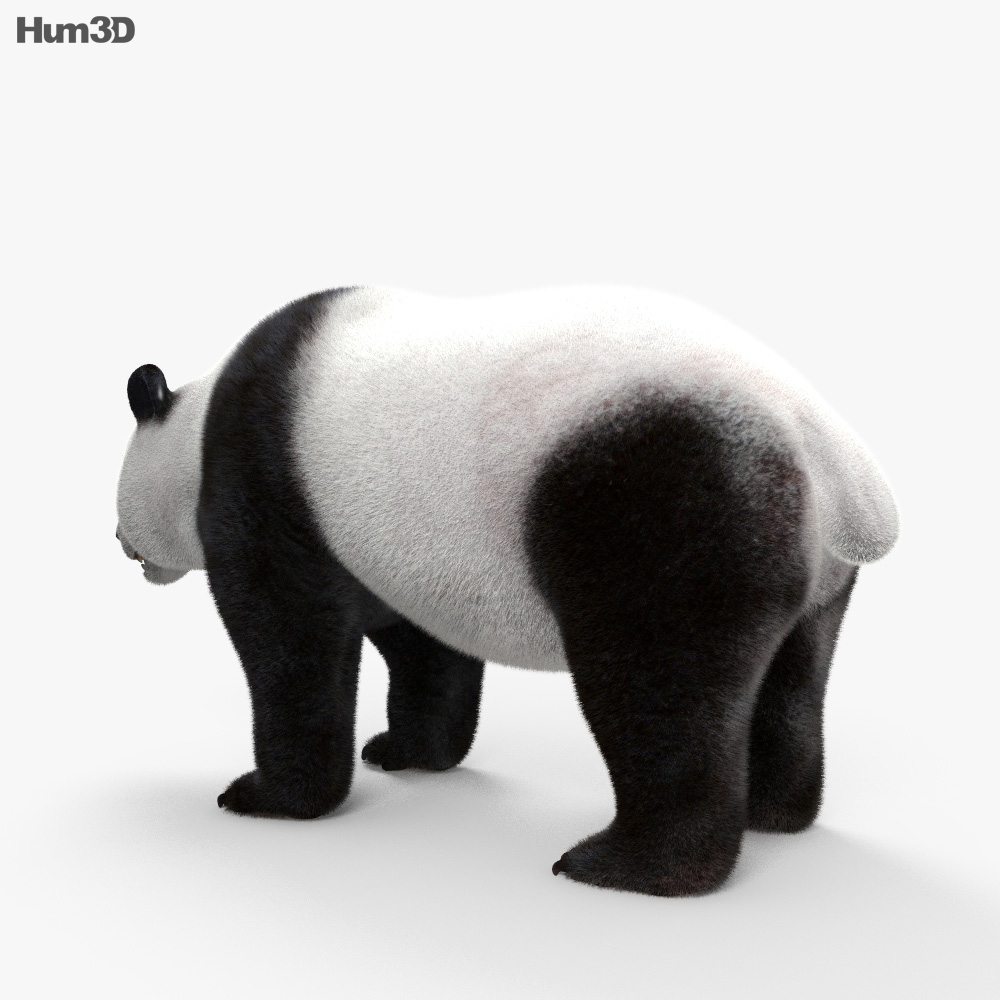Animated giant panda 3d model