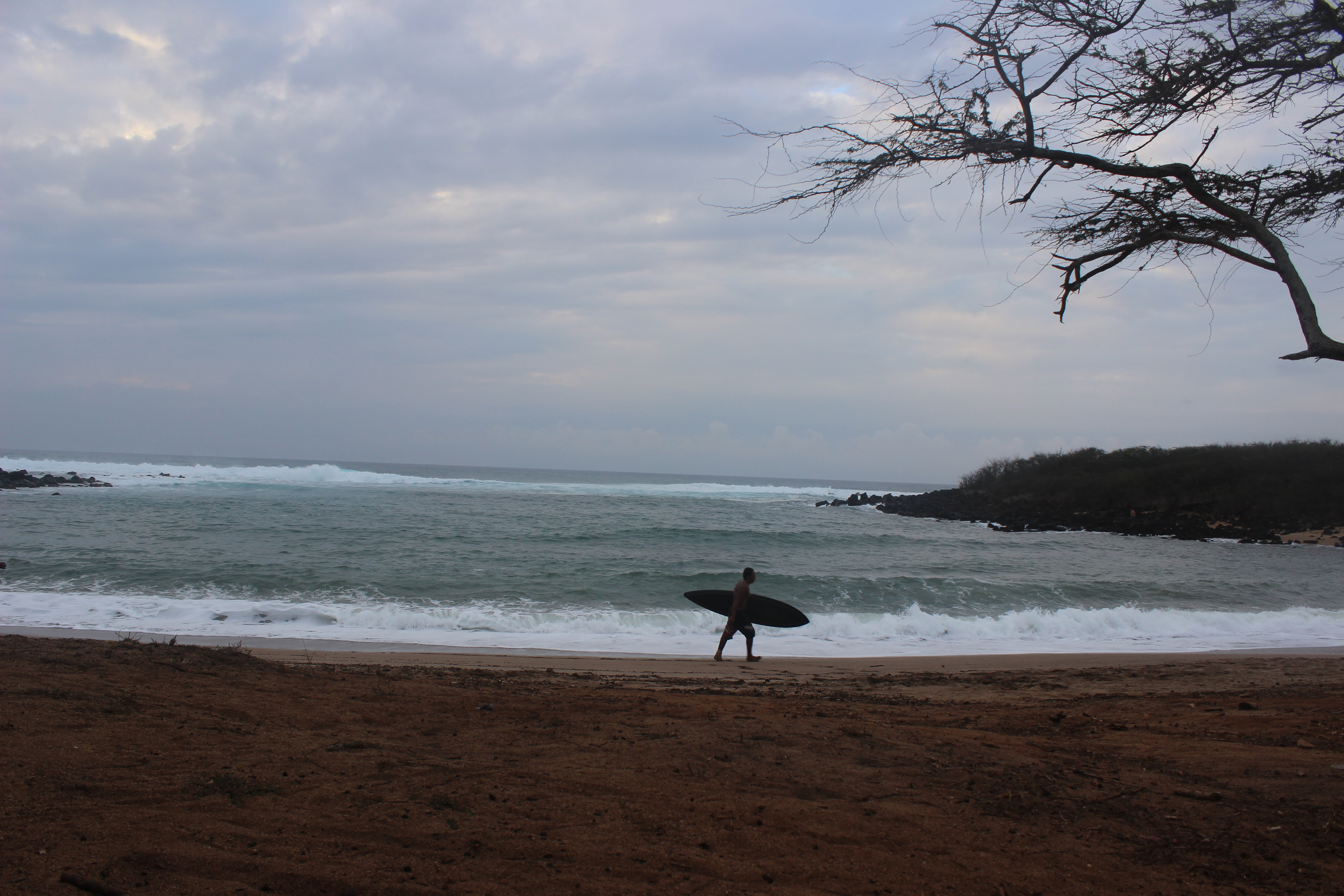 Kaunala Bay Surfer