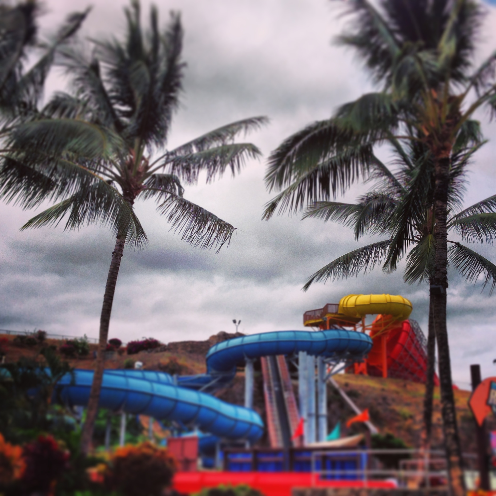 Some of the water slides