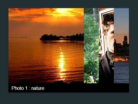 Accordion Style Image Gallery with Pure CSS