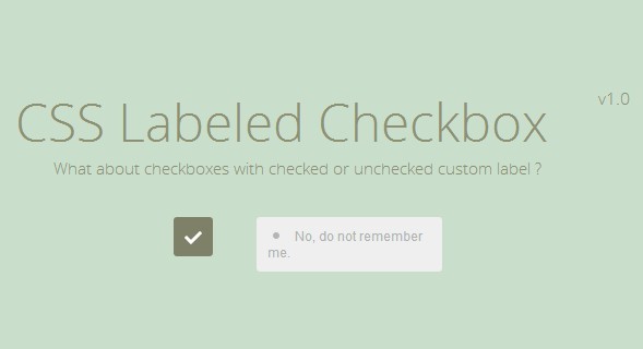 CSS Labeled Checkbox - 365 Web Resources