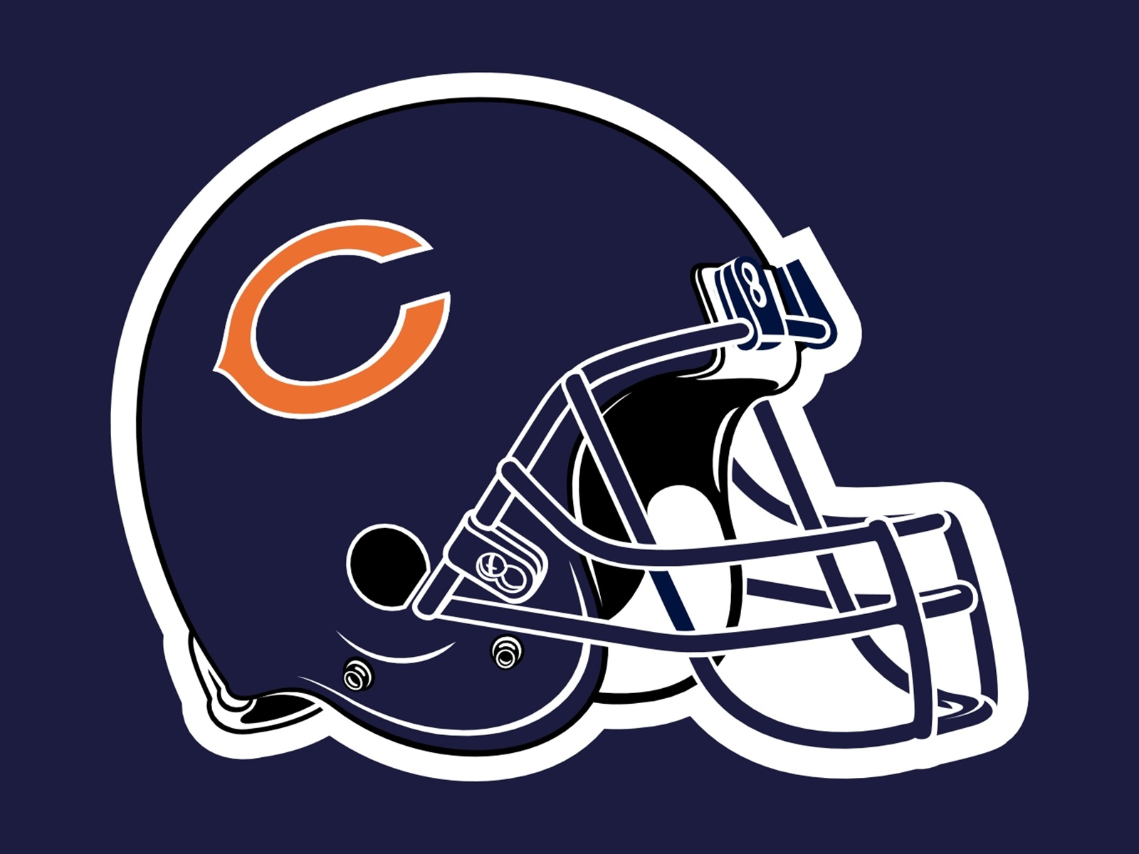 bears6