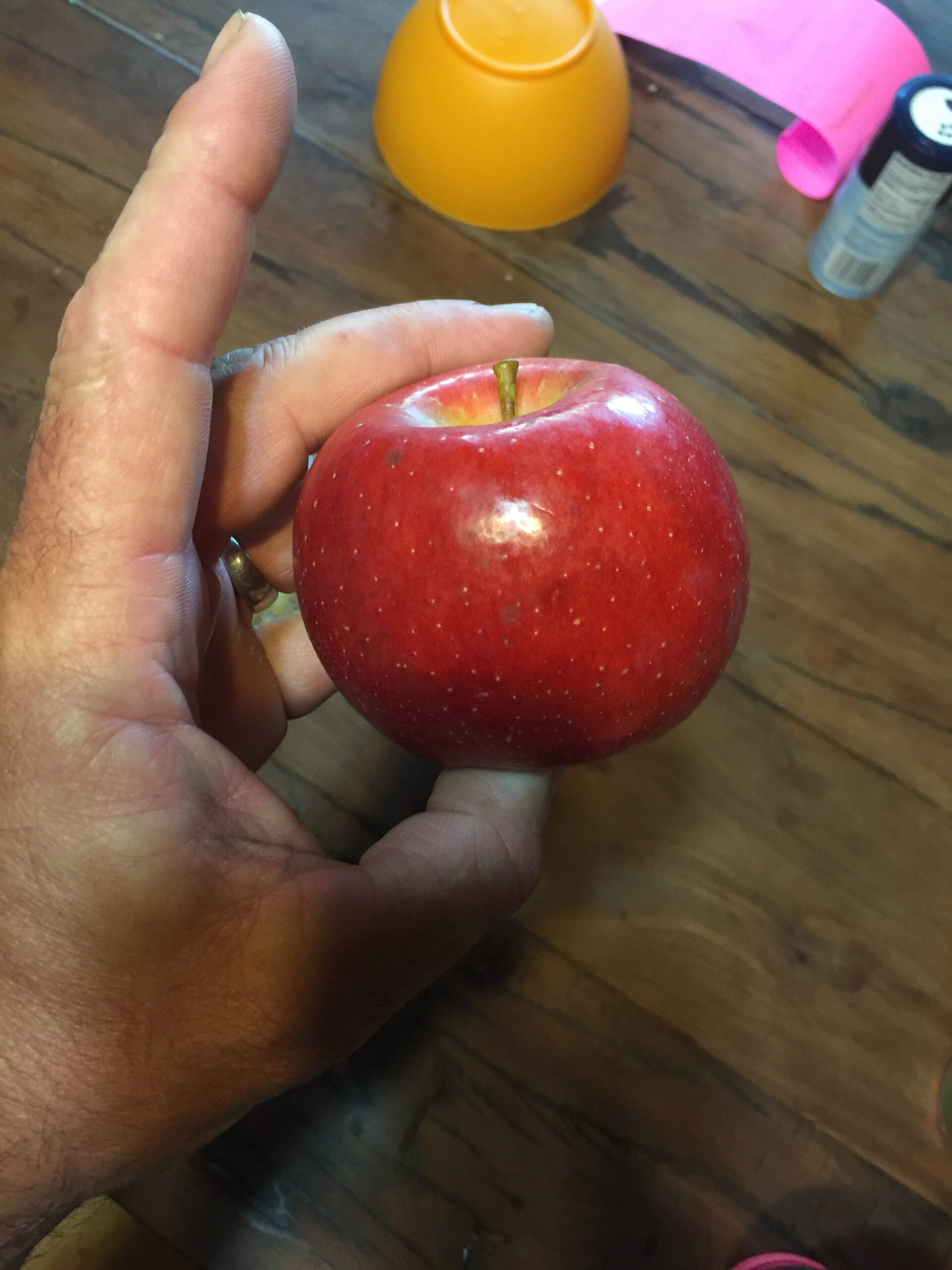 Red Cinnamon Apple Tree – 39th Parallel Nursery & Orchard Lawrence