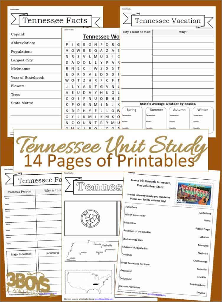 Tennessee state fact file worksheets