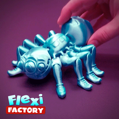 Spider