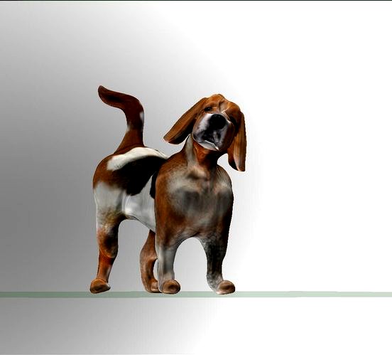 Beagle Dog 3d Model