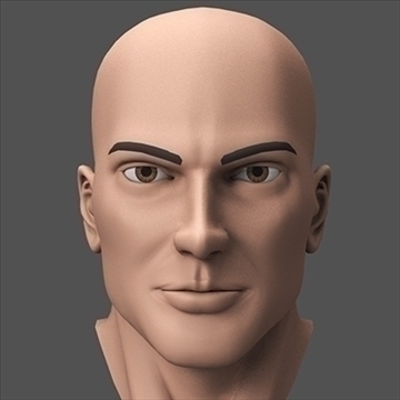 herohead10282siepiau-wp