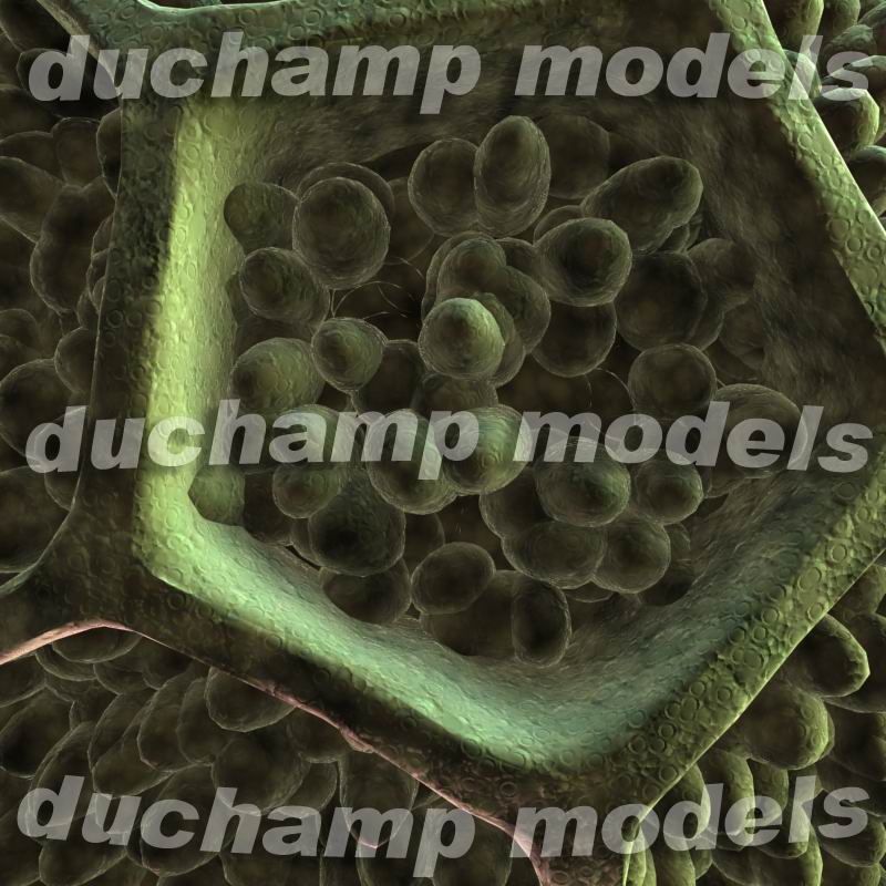 pollen_grain-3d-model-sample-20621-68814