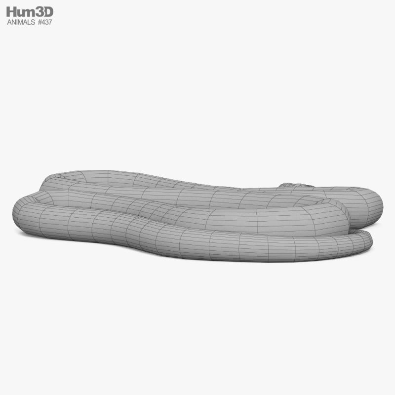 Python 3d Model By Zbogets Cd3afef Sketchfab - Full HD Landscape Photos for Desktop