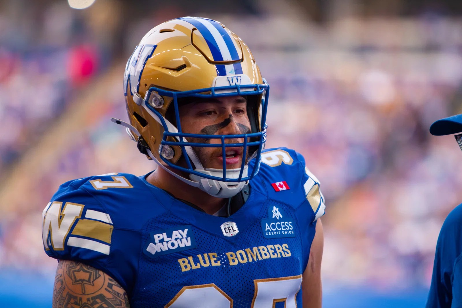 Winnipeg Blue Bombers' Roster Moves: Collin Kornelson and Matthew Jackson Released (2026)