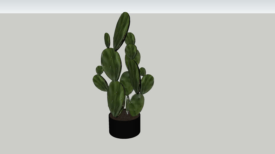 Ausgezeichnet mit dem holidaycheck award 2020 als eines der beliebtesten hotels auf kos. Prickly Pearl Bunny Ears Cactus Vray 3d Warehouse