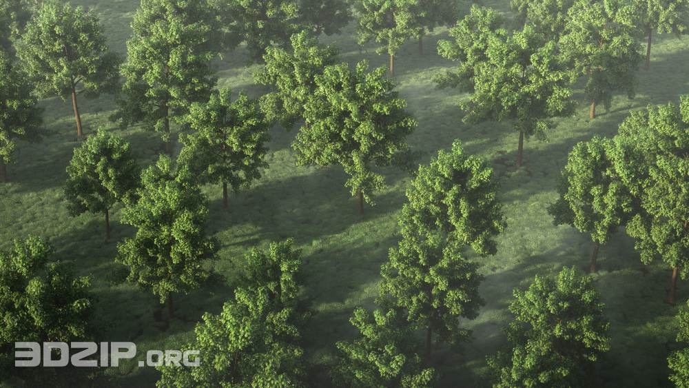 Free High Quality 3d Models Generic Tree Pack 3dzip Org 3d Model Free Download