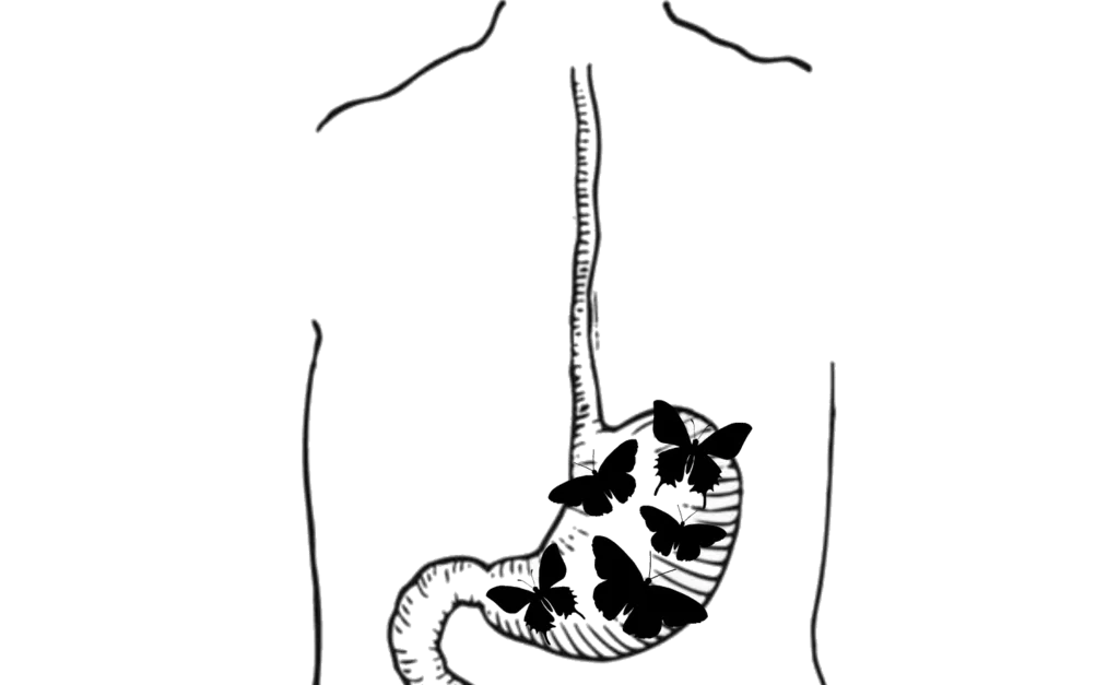 Comme Des Papillons Dans Le Ventre 3heures48minutes