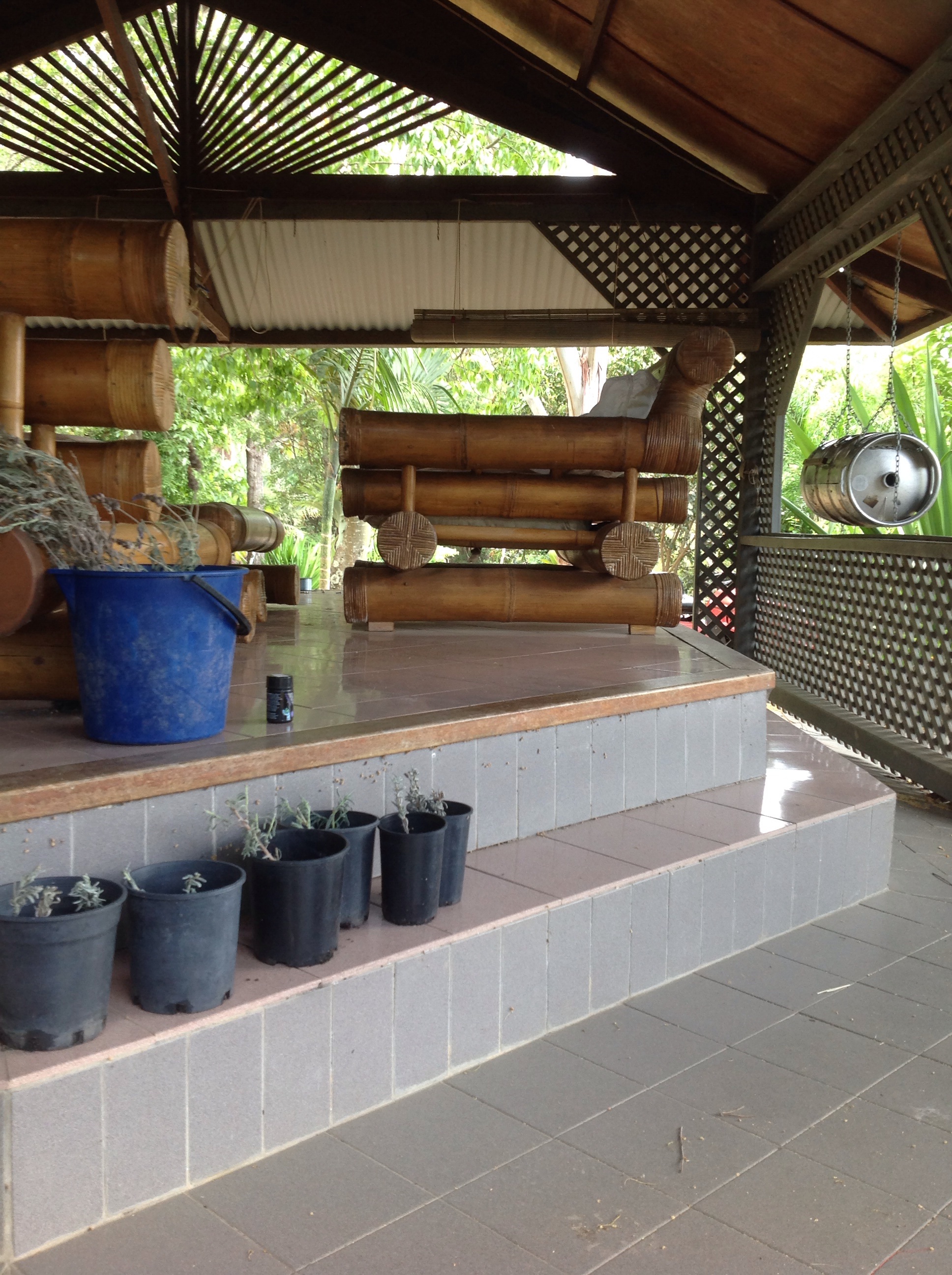 Potting lavendar clones to plant an embankment... With a man-crafted bbq in the background!