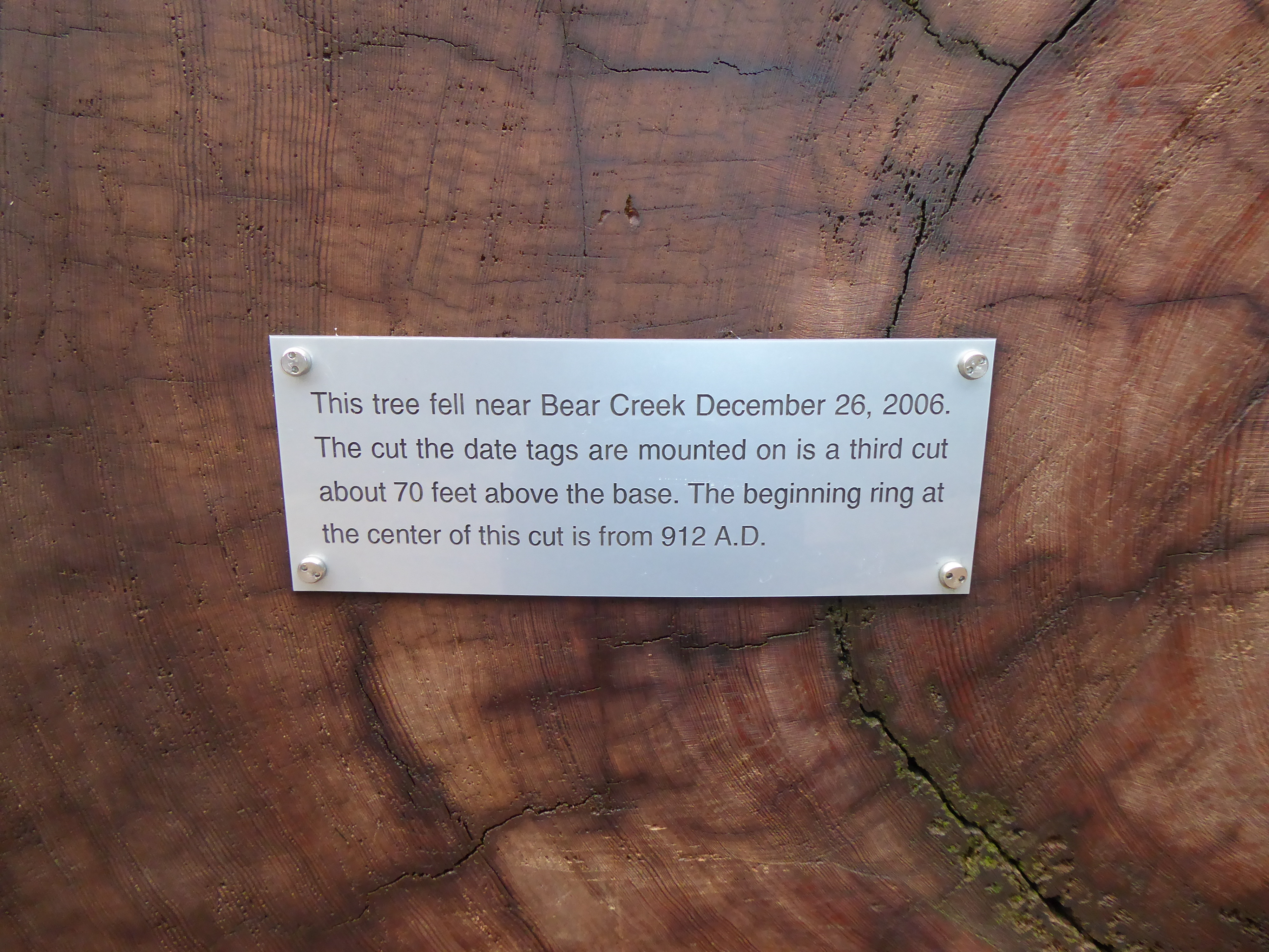 Vistor Center Tree Plaque