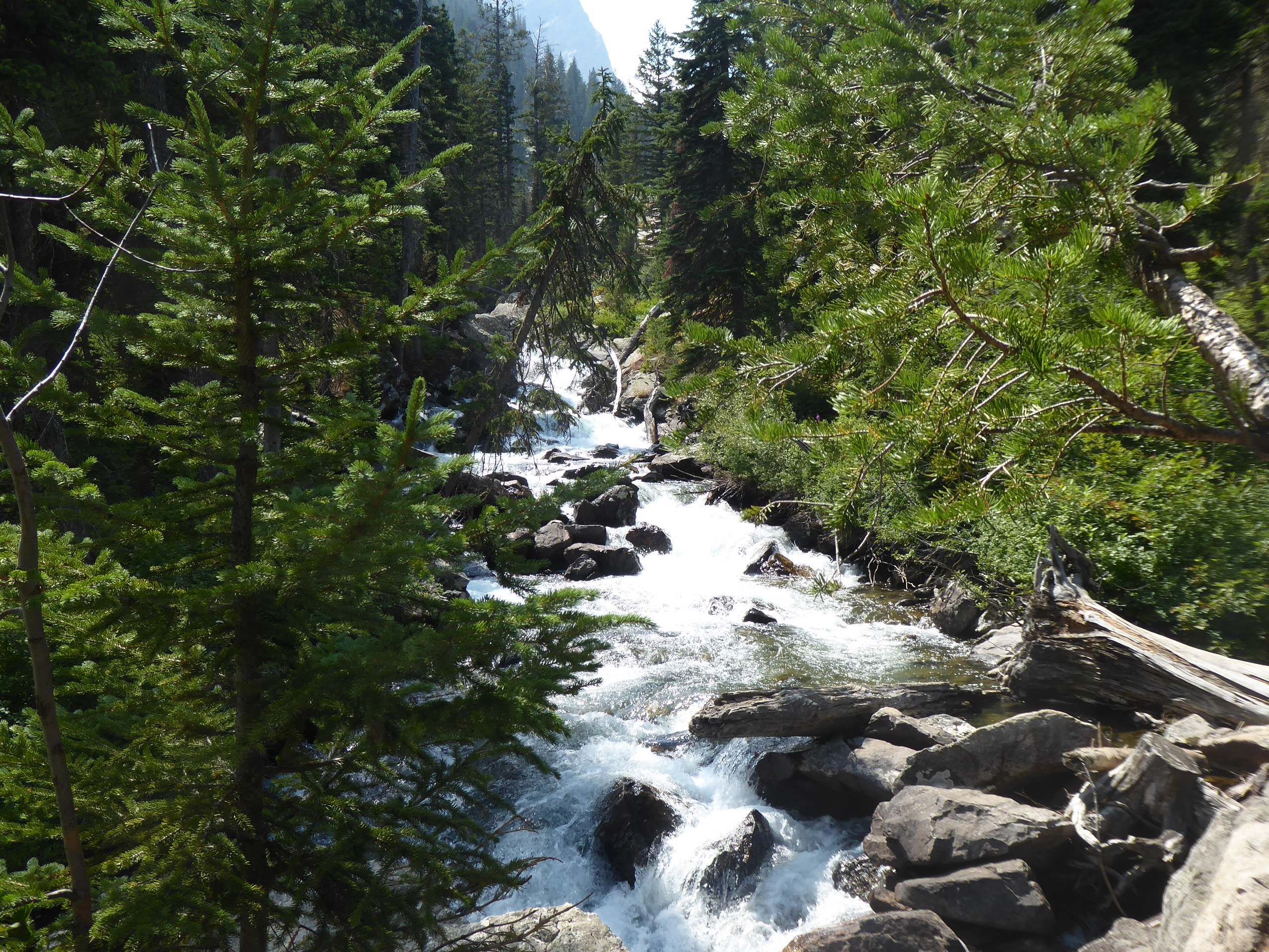 Cascade Creek 2
