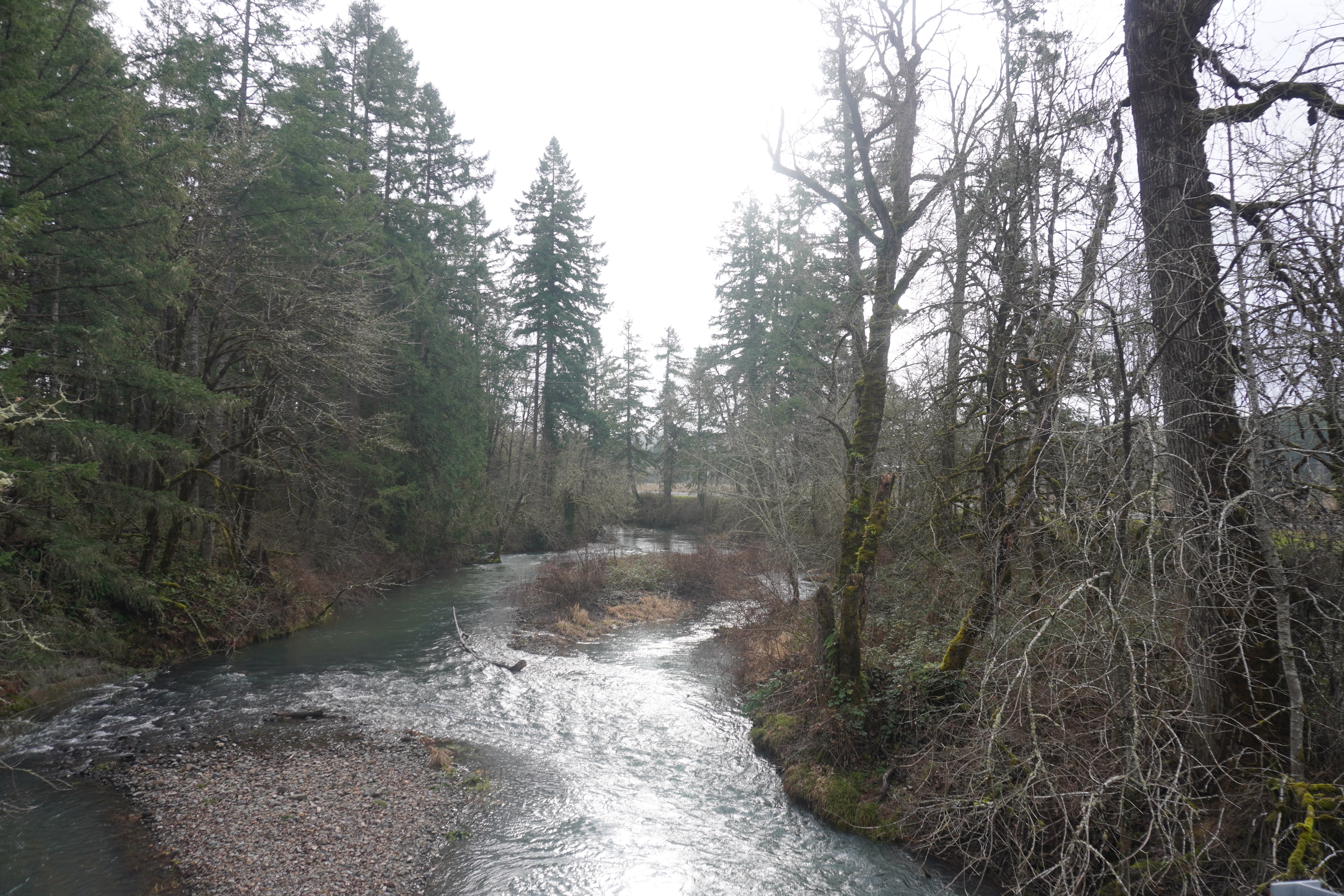Potential Swimming Hole