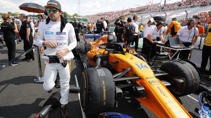 Alonso Won T Race In F1 Next Year 3legs4wheels