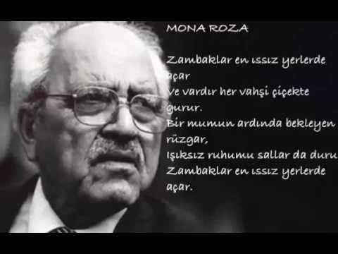 Monna rosa, siyah güller ak güller! Sezai Karakoc Mona Roza 3m Akademi