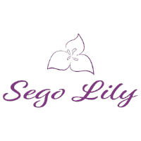 regenerative grass fed beef tallow sego lily skincare