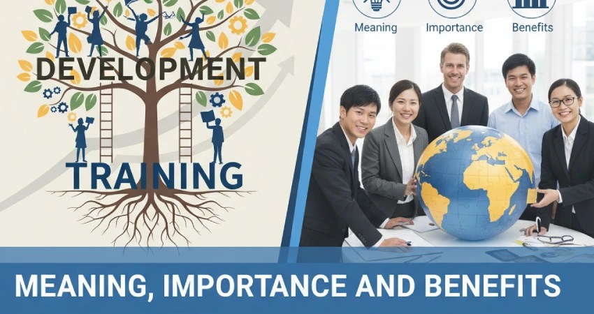 Training and Development
