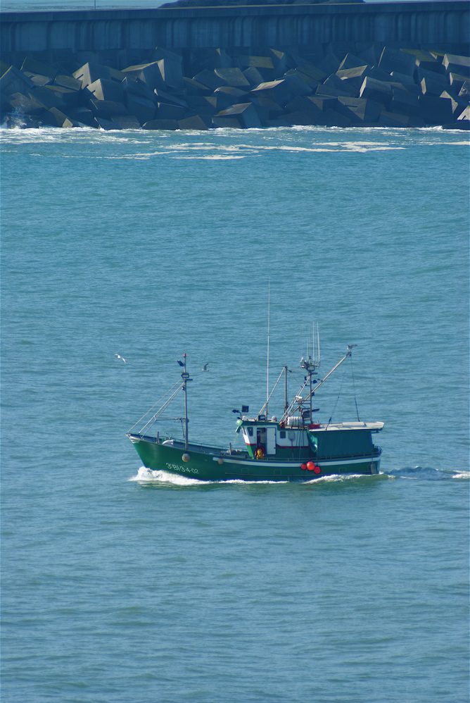 DSC03000