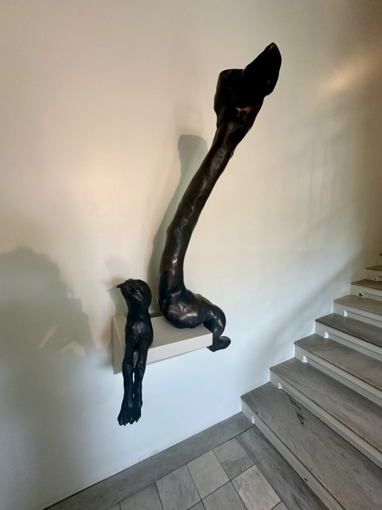 House of Collections