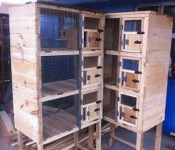 Bird Cages In Coimbatore Tamil Nadu Get Latest Price From Suppliers Of Bird Cages In Coimbatore