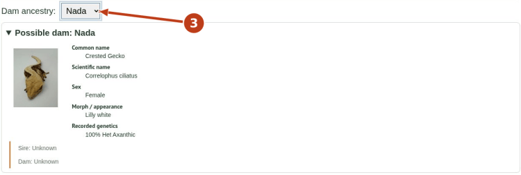 Read the results and recorded ancestry: screenshot 4 with numbered arrows matching the steps below.