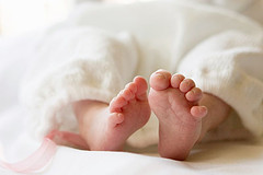 Baby toes