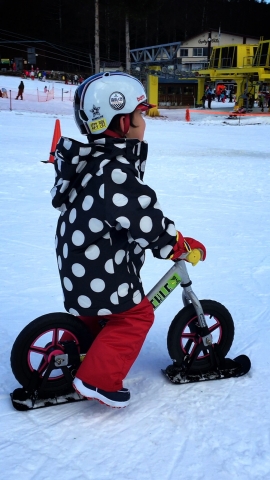 かたしな高原スキー場で「スノーストライダー」してきたよ。 - 40papa