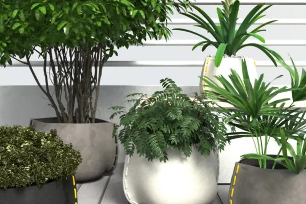 Top interior design planters trends for 2023