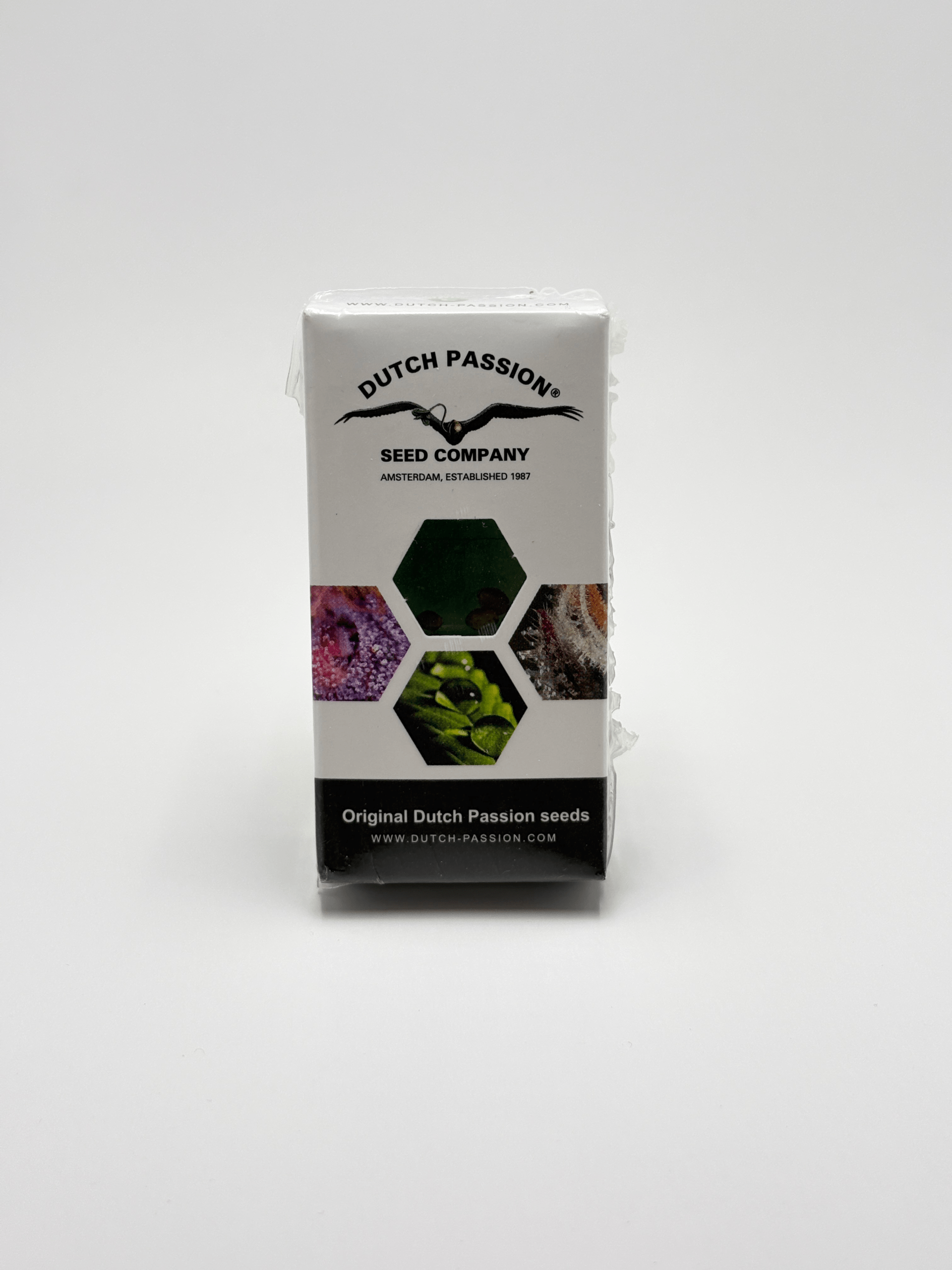 Orange Bud 2.0 by Dutch Passion - Photoperiod - 3 fem seeds