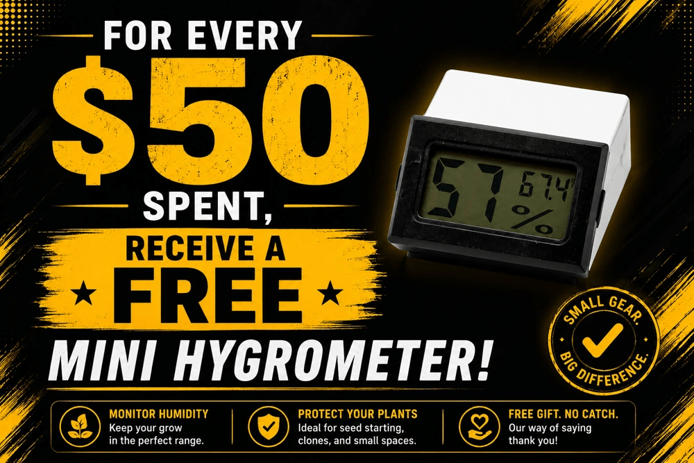 Free Mini Hygrometer