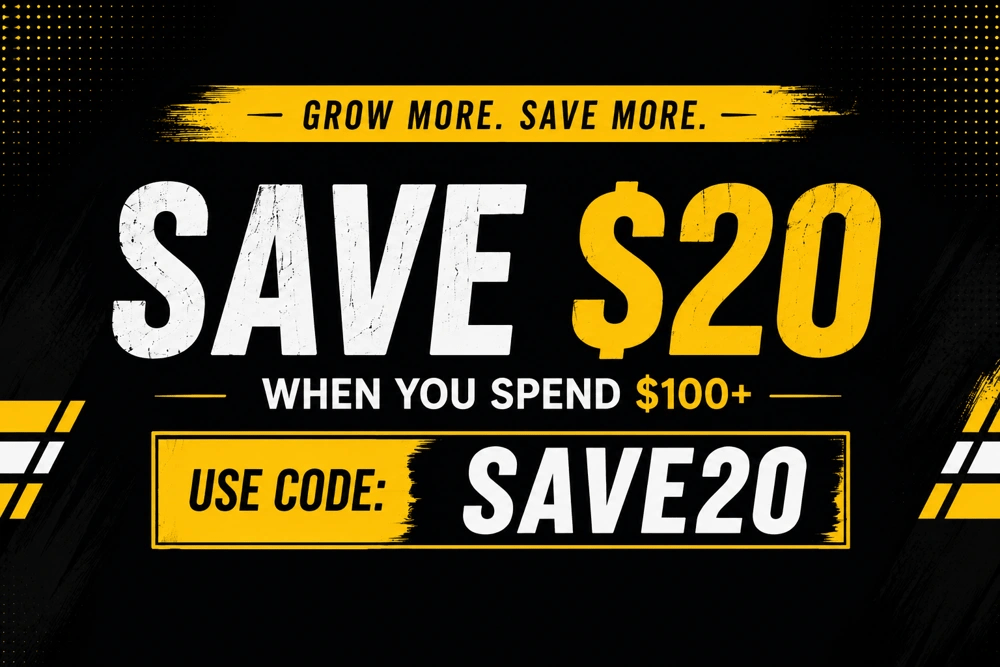 SAVE20