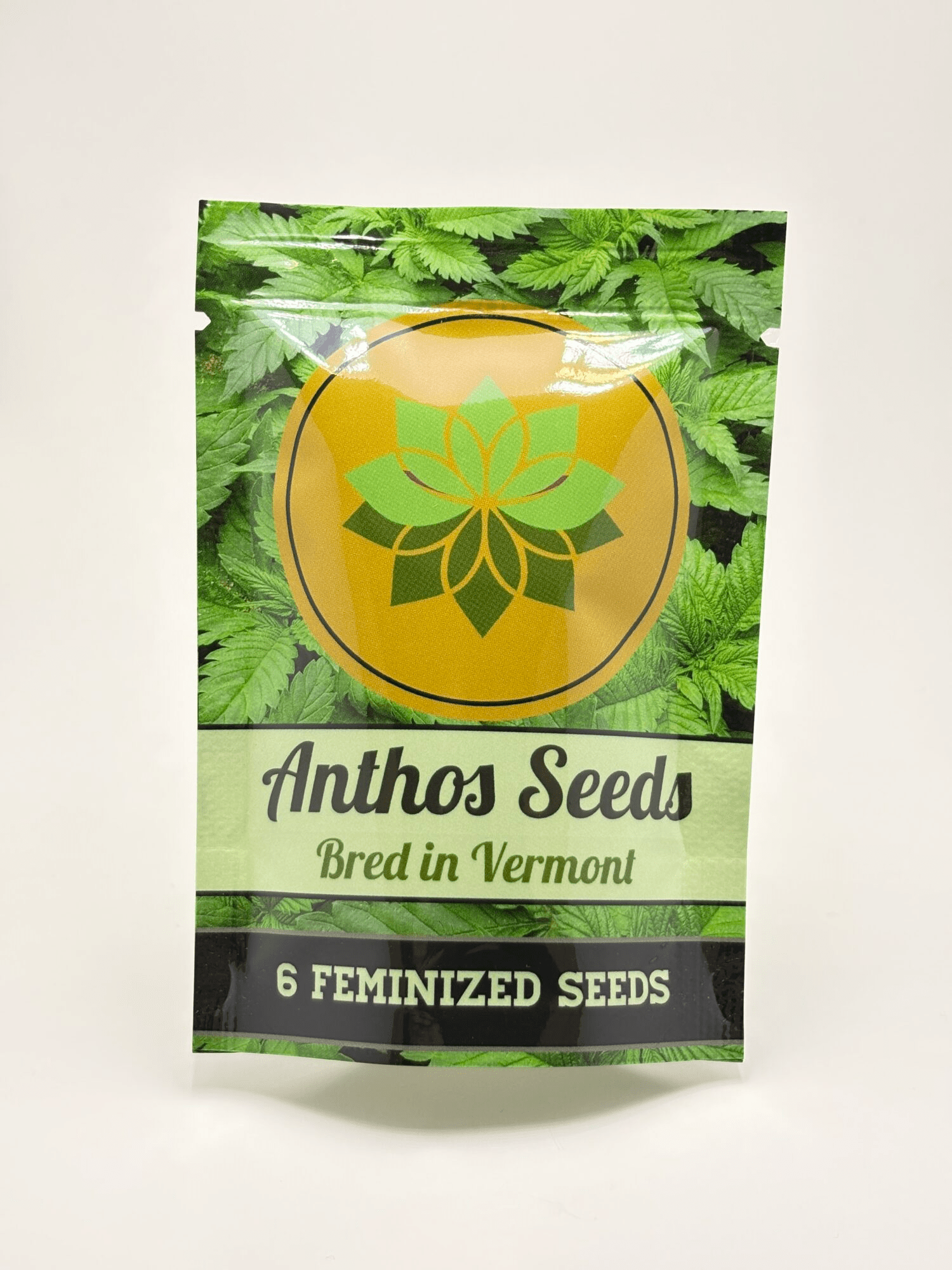 Chillmatic by Anthos Seeds - Photoperiod - 6 fem seeds