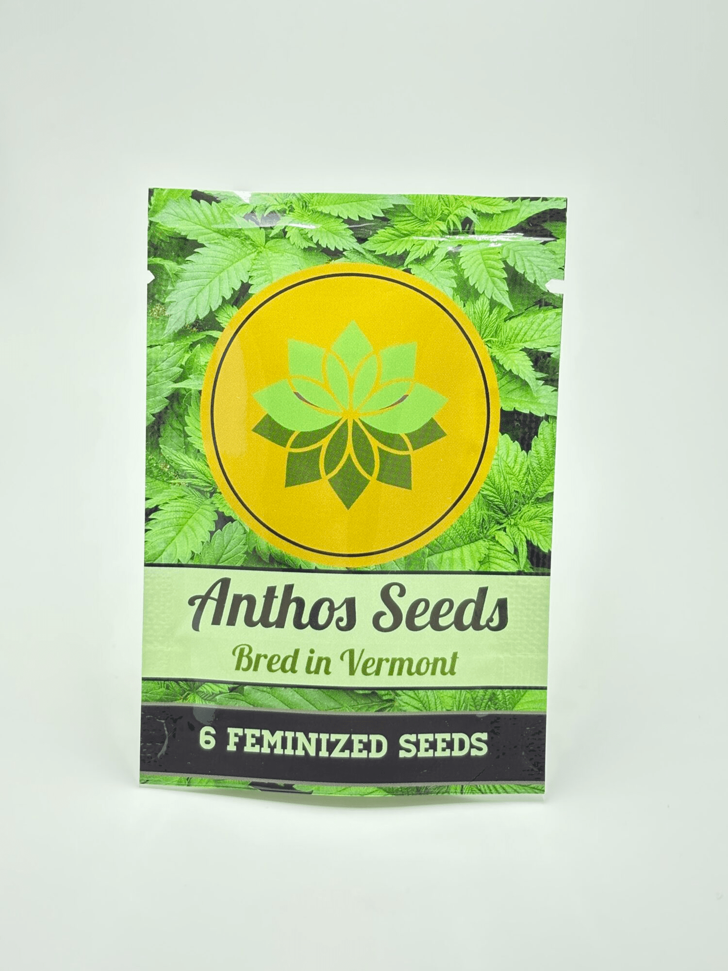 Anthomancer by Anthos Seeds - Photoperiod - 6 fem seeds