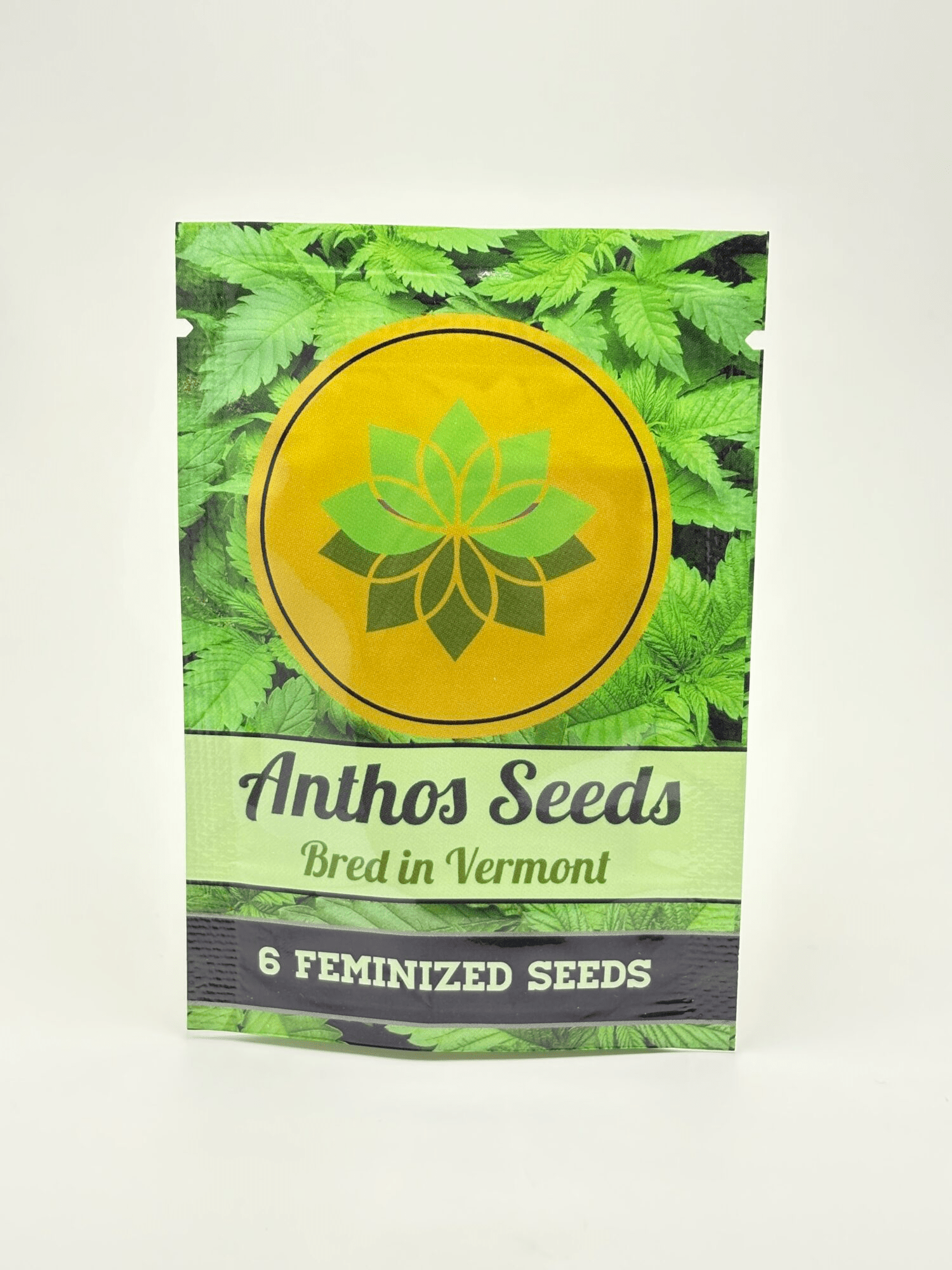 Sour Grapes by Anthos Seeds - Photoperiod - 6 fem seeds