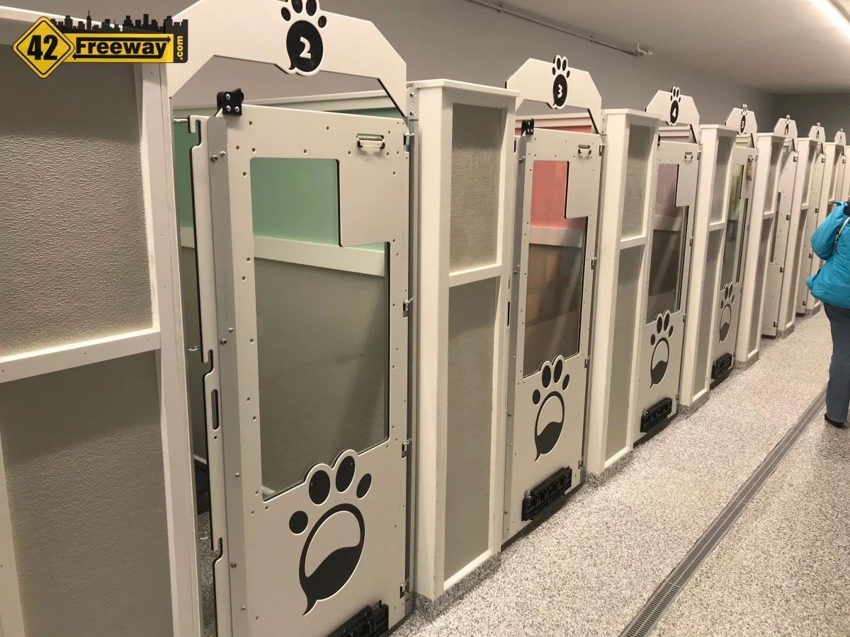 fetch pet resort in sewell nj grand opening saturday feb 8 the largest pet resort in the area 10000 sq feet photos - 42 freeway on fetch pet resort prices