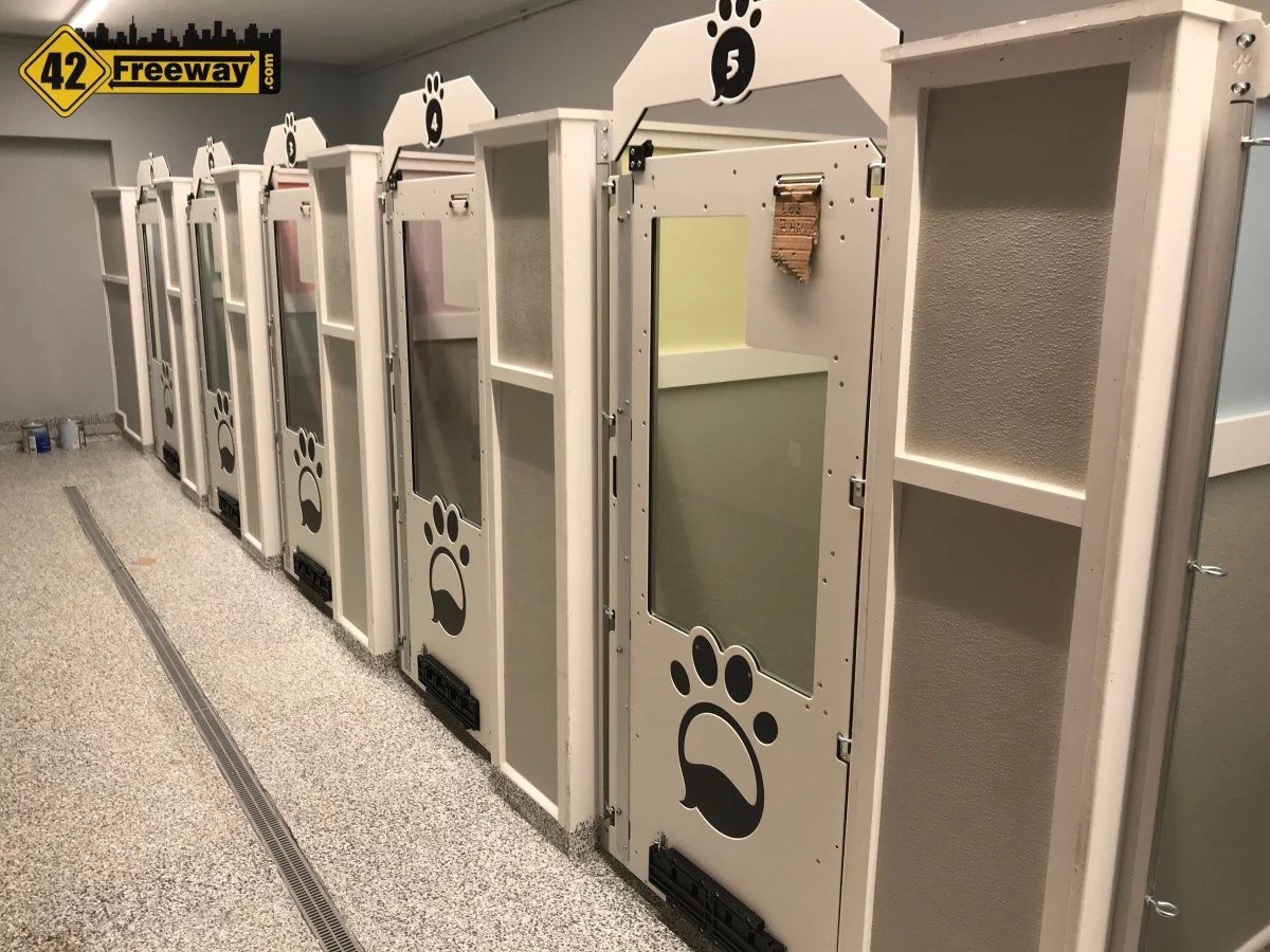 fetch pet resort in sewell nj grand opening saturday feb 8 the largest pet resort in the area 10000 sq feet photos - 42 freeway on fetch pet resort prices